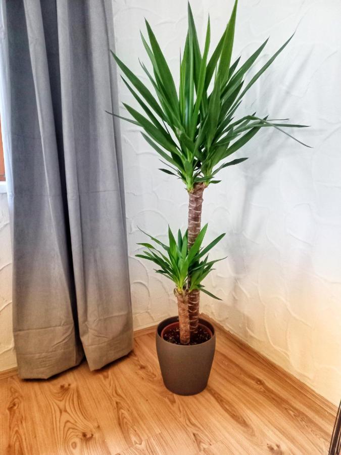 Ferienwohnung Am Wald Waidring Εξωτερικό φωτογραφία