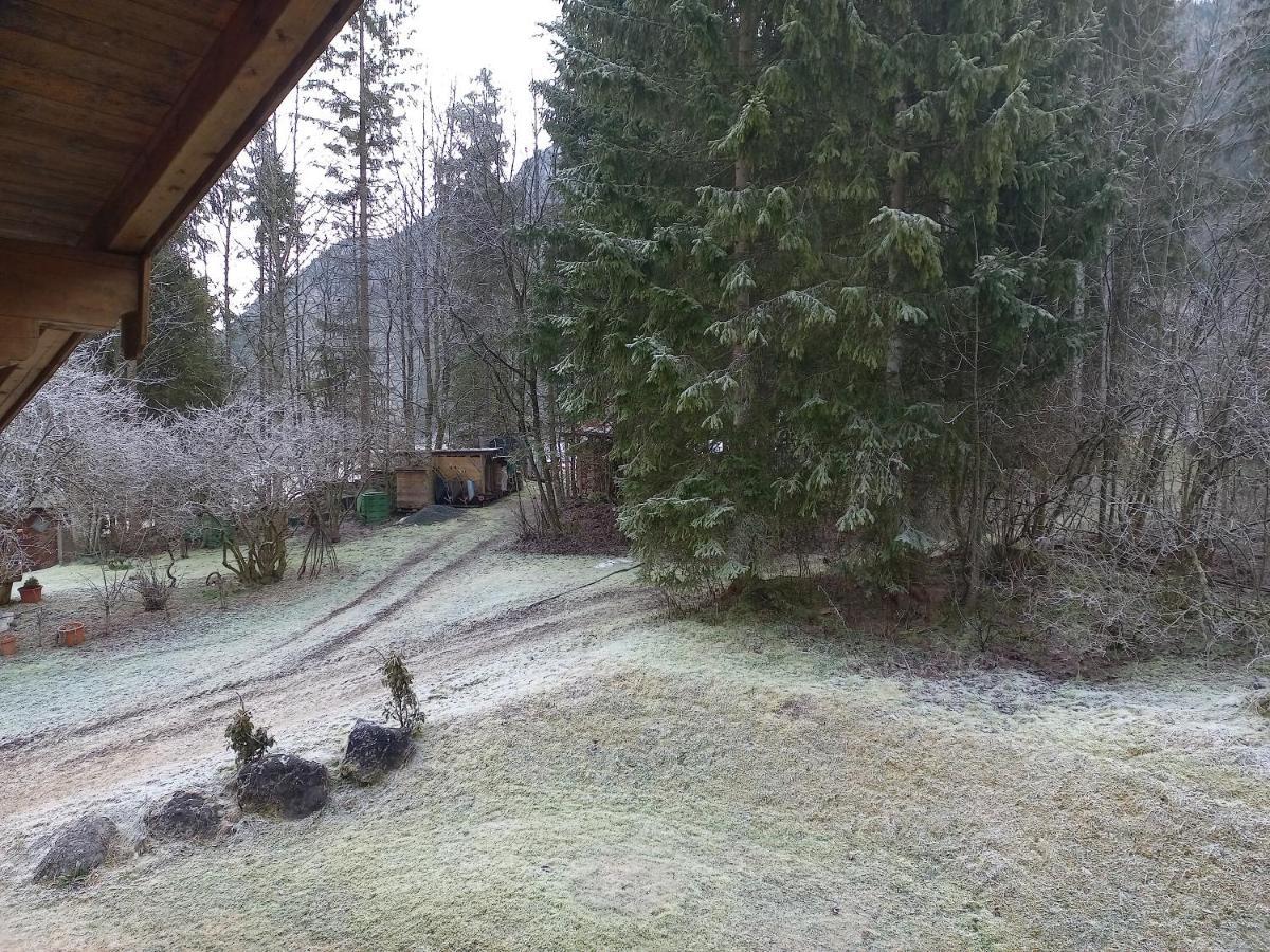 Ferienwohnung Am Wald Waidring Εξωτερικό φωτογραφία